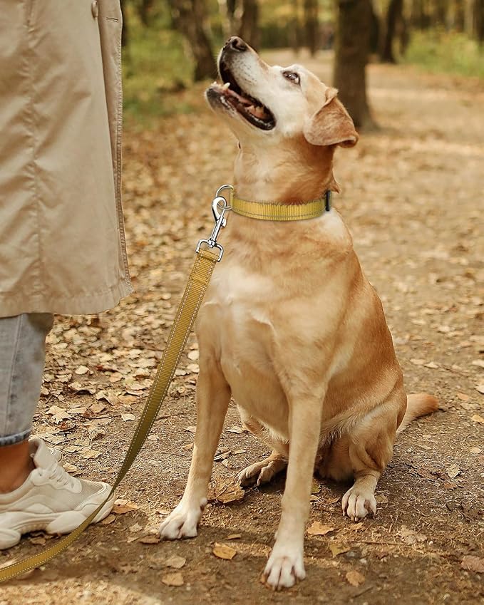 TagME Reflective Nylon Dog Collars, Adjustable Classic Collar with Quick Release Buckle for Extra Large Dogs, Khaki, 1¼" Width
