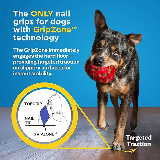 Dr Buzby's XSmall ToeGrips for Dogs - Instant Traction on Wood/Hardwood Floors - Anti Slip Relief - Grippers for Senior Dogs - Stop Sliding Instantly - Rubber Nails for Paws - 1 Pack (20 Grips)