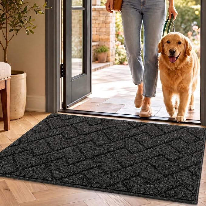 hicorfe Front Door Mat Indoor Entrance, Stain and Fade Resistant, Non Slip