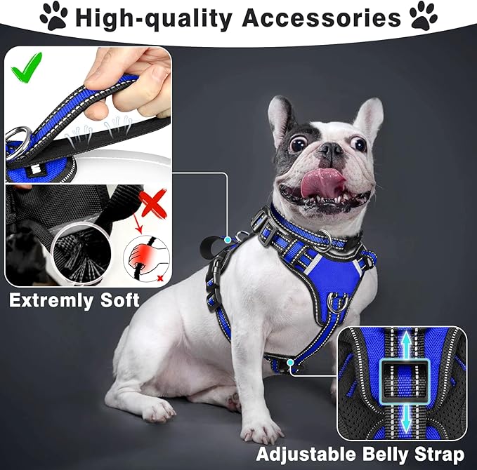 WINSEE Pet Harness Collar and Leash Set, All-in-one Reflective Dog Harness No Pull with Adjustable Buckles for Puppies, Small, Medium, Large, and Extra-Large Dogs (Small, Dark Blue)