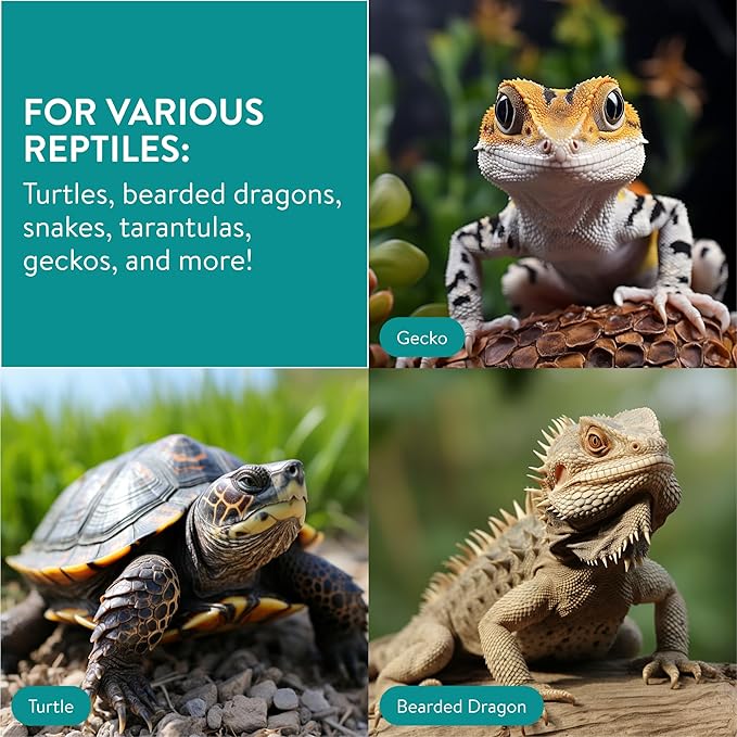 Navaris Cactus Shaped Reptile Hide Out - Reptile Accessories for Leopard Gecko, Snake, Tortoise, and More - Unique Hideout for Vivarium Decorations