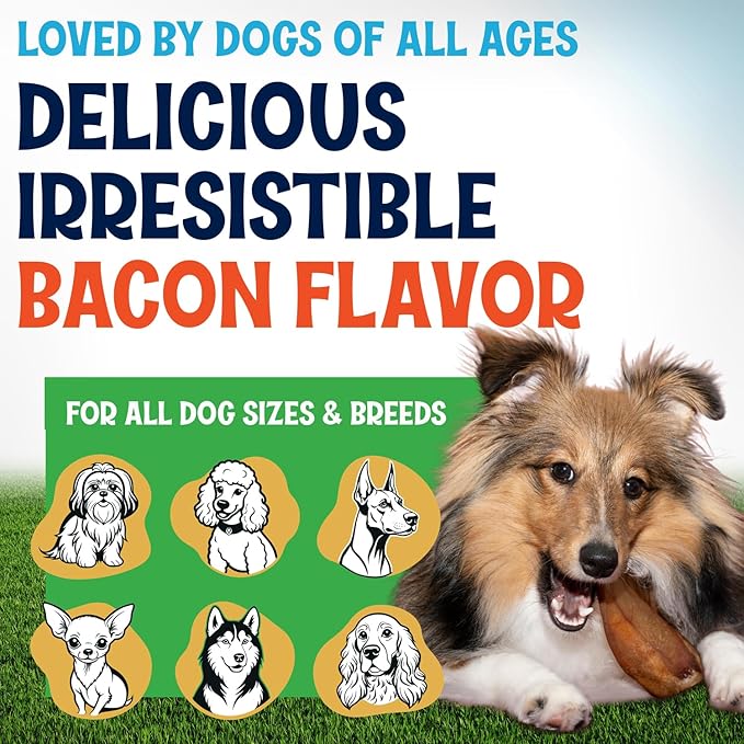 Whole Pig Ears for Dogs Large - 100 Pack Long Lasting Dog Chews - One Ingredient Delicious All Natural Flavor – Easy to Digest Dog Treat for Large Dogs - Great for Teeth and Gums