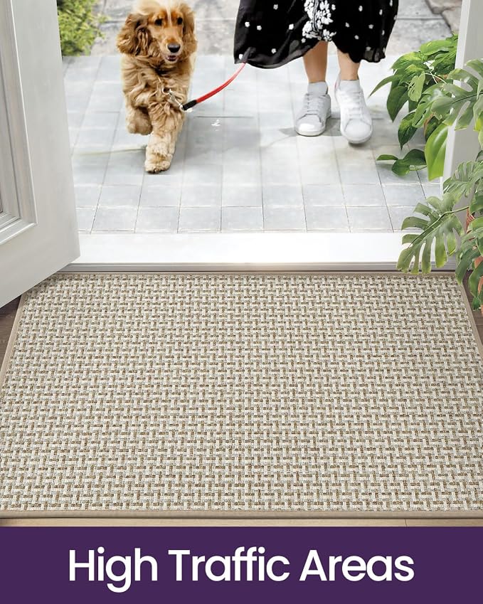 DEXI Ultra Thin Door Mat Indoor Entrance 36x56, Non Slip Rubber Backed Entryway