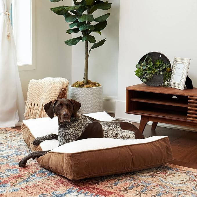 South Pine Porch Buddy Reversible Rectangle Pillow Style Microfiber and Sherpa Dog Bed with Removable, Machine-Washable Cover, Latte Sherpa, Medium (42 in. x 30 in.)