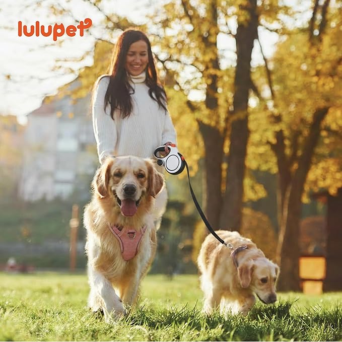 3 in 1 No Pull Dog Harness Leash and Collar Set, Soft Adjustable Dogs Vest Reflective and Comfortable Handle Pink X-Large
