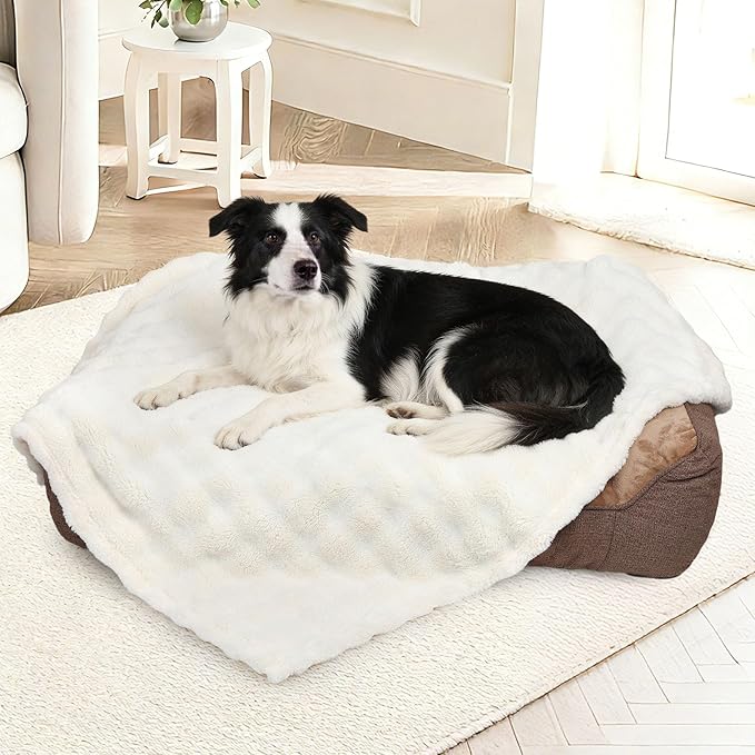 Dog Blankets Washable Pet Blanket - Fluffy Fuzzy Cat Puppy Blanket with Premium 300GSM 3D Fleece Bubble for Pet Kitten Doggy, Cream, 30x40IN