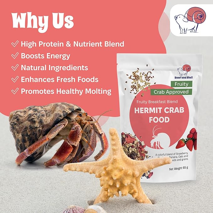 Natural Hermit Crab Food – High-Protein Hermit Food with Real Fruit and Sprouted Grains – 65 g (2.3 oz) Crab Food for Pet Hermit Crabs by Snout and Shell