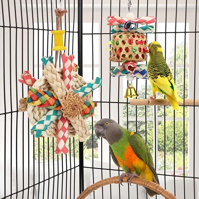 Hypeety Bird Foraging Toys Natural Seagrass Woven Basket Parrot Foraging Chewing Toy with Bell Parakeet Hanging Toys for Cockatiel Sun Parakeet Budgie Lovebirds (2pcs Bite Cake + Woven Basket)