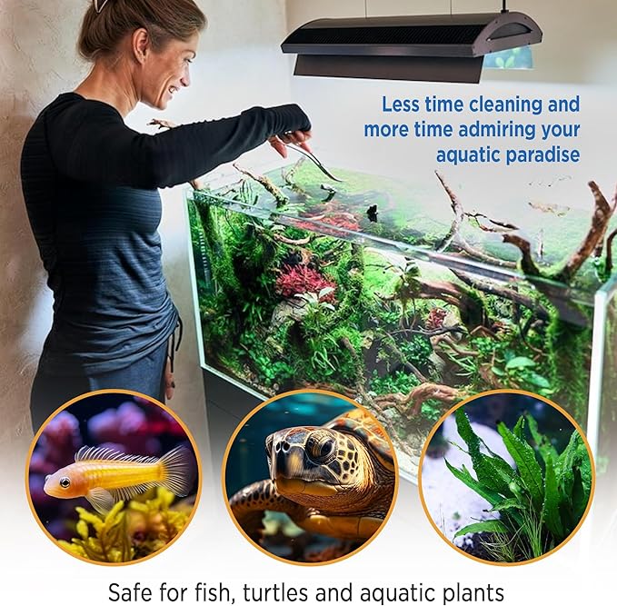 Fish Tank Rocks for Enhancing Water Clarity with Your Regular Cleaning Routine, Fish Friendly Aquarium Rocks, All Natural Aquarium Decor, Small, Up to 750 Gallons