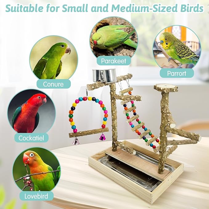 PINVNBY Bird Playground Natural Wood Bird Play Stand with Climb Ladder Swing Tray and Stainless Steel Cups Cage Accessories for Conure Cockatiel Parakeet Lovebird