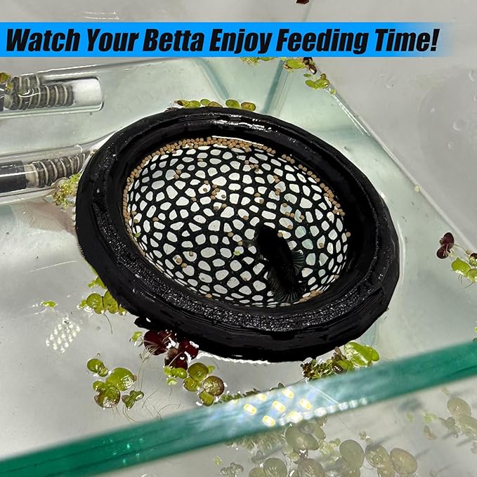 Aquarium Floating Betta Fish Skins, Betta or Shrimp Feeder, Cave and Hammock, Small Fish Feeding Rings, Aquarium Hiding Feeding Decorative Accessories (Translucent Color)