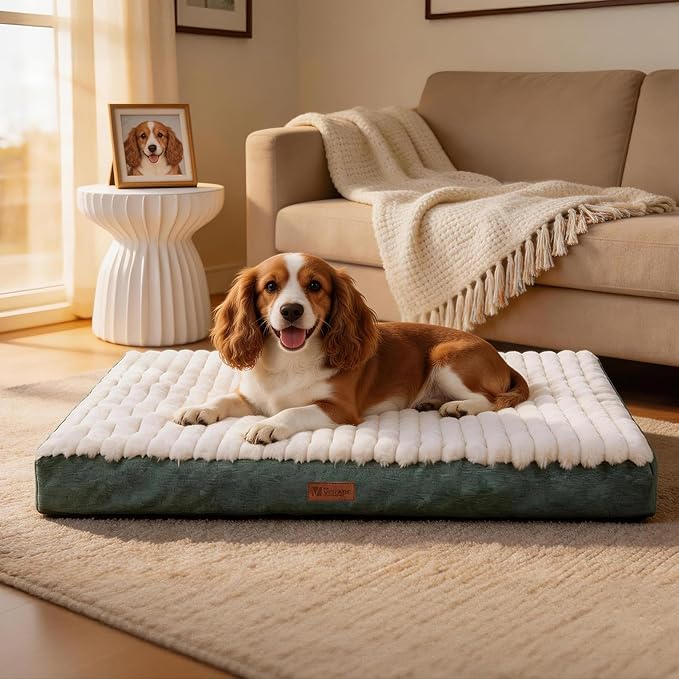 Orthopedic Dog Bed with Firm High-Density Egg Crate Foam, Machine Washable Cover & Non-Slip Bottom for Medium Breeds (Green, 29" L x 18" W x 3" H)