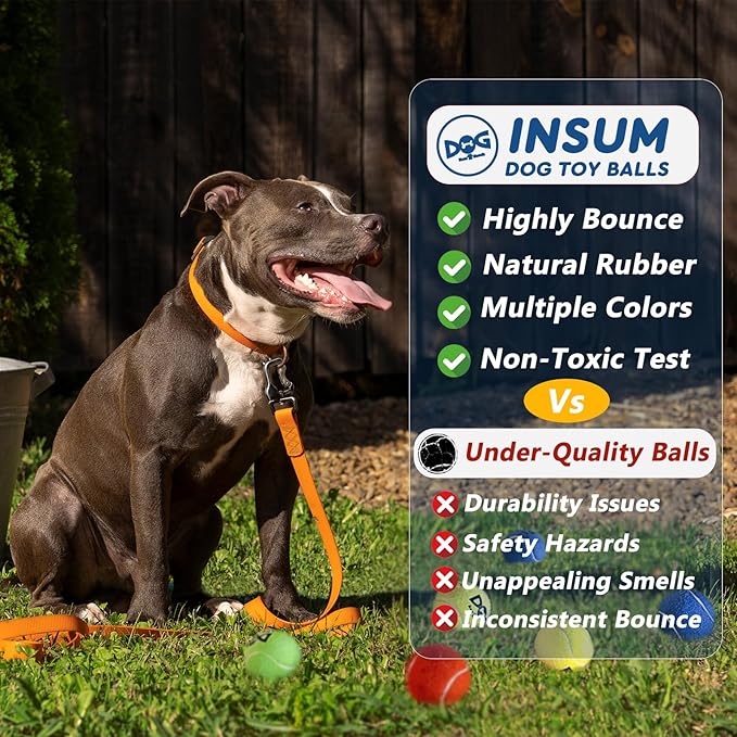 Tennis Balls for Dogs - 12 Pack 2.0'' Durable Non-Toxic Outdoor Dog Toys Balls with Mesh Bag, SGS Certified, Colorful Fetch Toys, Small Breeds (Non Squeaky)