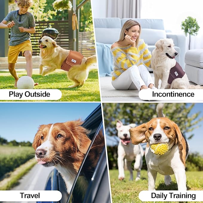 Washable Dog Diapers Male Reusable, Premium Belly Bands for Male Dogs Small, Pack of 3, High Absorbing Small Male Dog Pee Wraps for Doggie in Incontinence or Excitable Urination and Training(S)