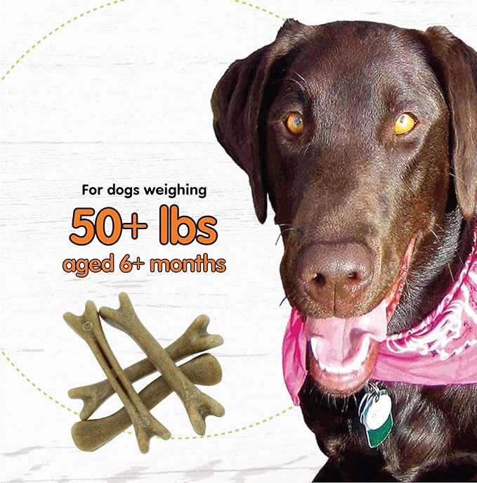 Fido - Super Breath Dental Care Bones for Dogs - 4 Count Large Dog Dental Treats for Large Dogs (Made in USA) - Tasty Dog Dental Chews Help Reduce Plaque, Tartar Buildup, and Freshens Breath