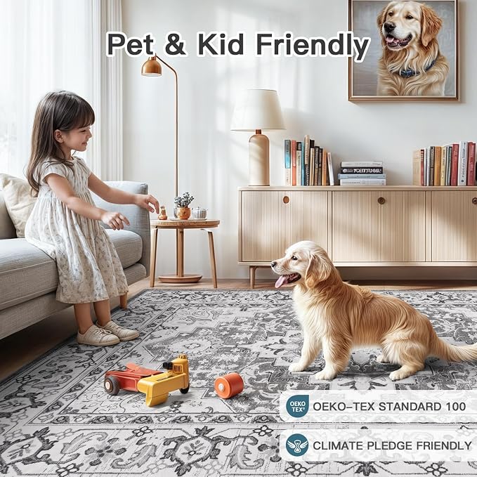 Lofus 6x9 Area Rugs for Living Room, Washable Area Rug, Rugs for Bedroom