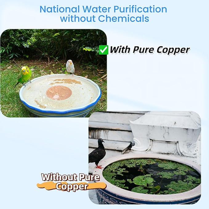 Bird Bath Purification Disk, 99.99% Copper Disc for Bird Bath Copper Disk Cleaner Safe for Outside Birds Fountain Disc Accessories, Fit for Outdoor Birdbath Bowl (3 pcs)