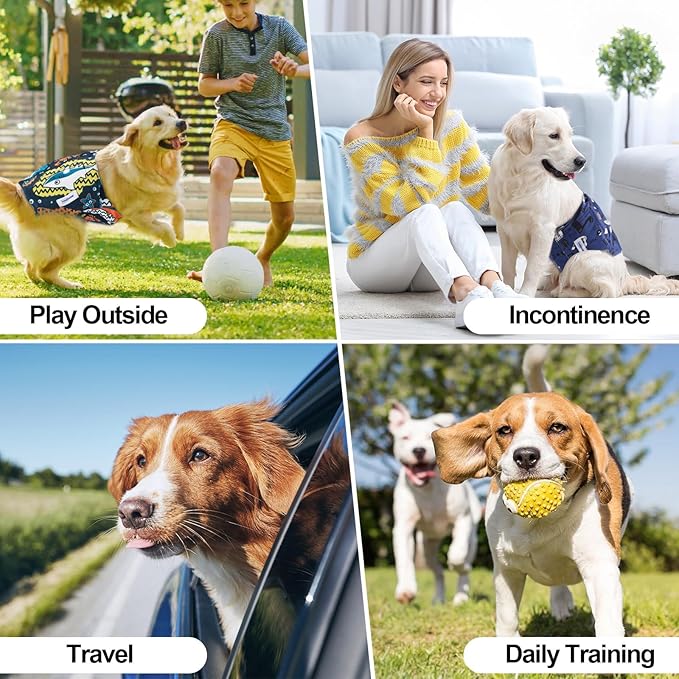 Washable Male Dog Diapers Reusable, Premium Belly Bands for Male Dogs, Pack of 3, High Absorbing Extra Extra Large Male Dog Pee Wraps for Puppy in Incontinence or Excitable Urination and Training(XXL)