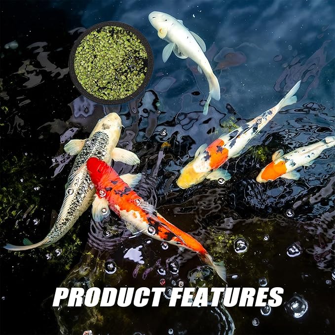 6Pcs Floating Plant Corral (A Tool Spoon is Included As a Gift.) Breathable and Light-Permeable Holes Can be Used in Aquariums 2Pcs Feeding Ring for Fish Tank Round and Square