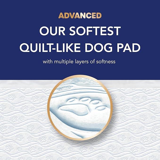 Scott Pet Guard Advanced Dog Pads - XXL - 36" x 36" - 40 Pack of Pet Pads