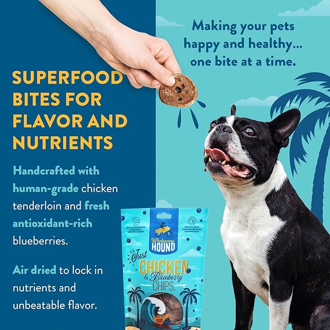 Chicken & Blueberry Chips – 2 Simple Ingredient Dog Treats, All Natural & Healthy Training Snacks for Small, Medium & Large Breeds, Puppies – High Protein, Made in US, 7oz