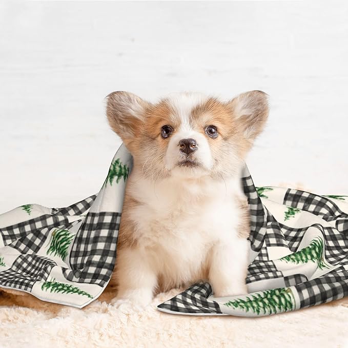 Buffalo Plaid Pet Blanket - Dog Throw Blanket 40x30 Couch Blankets for Puppy Dogs Cats