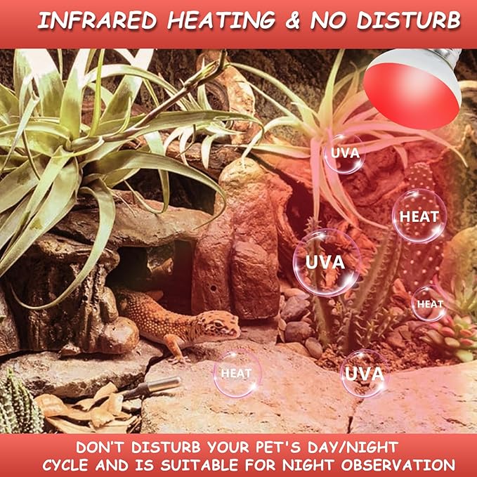 LUCKY HERP Infrared Heat Lamp, 25W Reptile Heat Lamp 2 Pack Red Heat Lamp Bulbs, Infrared Basking Spot Heat Light Bulb, Amphibians Heat Lamp Bulbs for Reptile, Geckos, Snakes, Lizard, Turtle