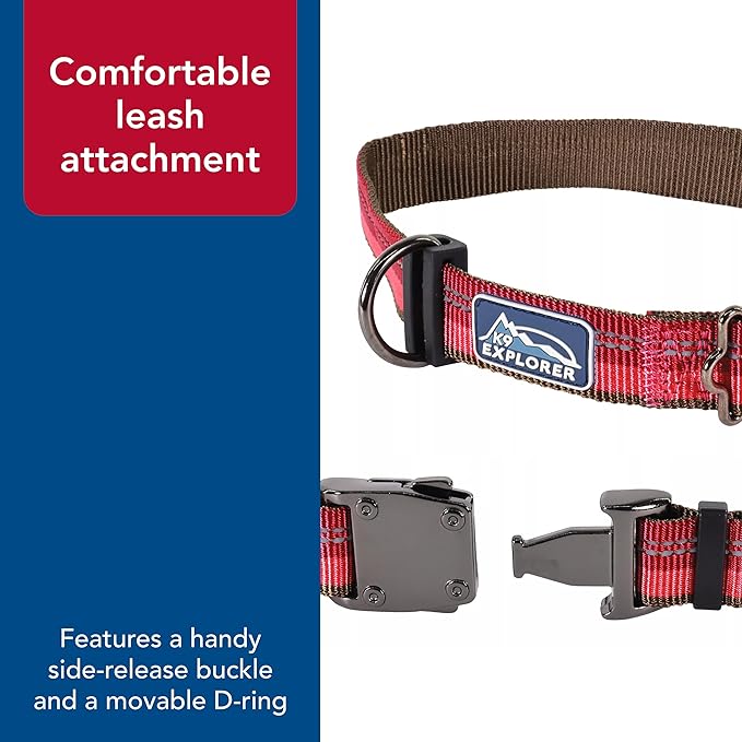 Coastal Pet K9 Explorer Reflective Adjustable Dog Collar - Comfortable Collar for The Outdoors - Durable, Lightweight Accessory with Side-Release Buckle - Fern, 5/8" x 8-12"