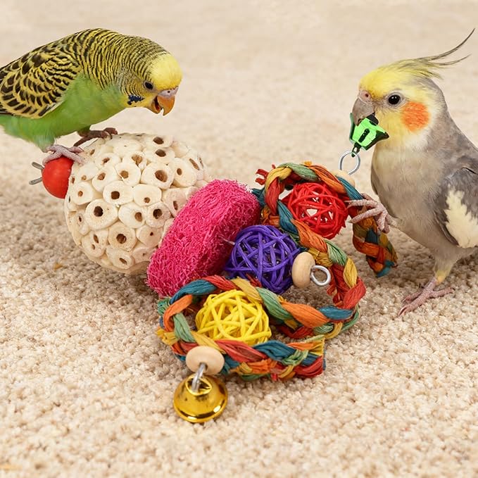 Wontee Bird Toys 3 Pack Parrot Foraging Hanging Toys Sola Ball Natural Nuts Chew Toys for Cockatiels Conures Parakeets Budgies Senegal (2 Pack-Colorful)