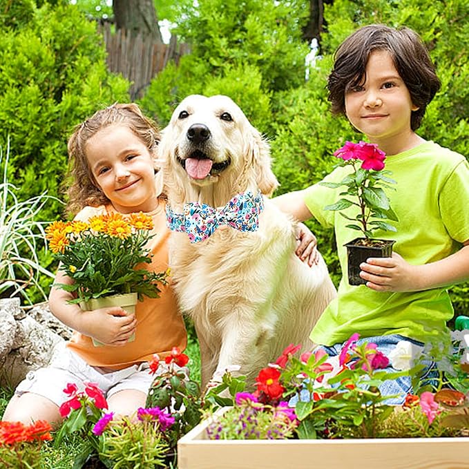Lionheart glory Dog Collar Bow Collar Floral Dog Collar with Bow Tie Spring Summer Cute Collar Dog Boy or Girl Dog Collars Soft Durable Adjustable Dog Collars for Large Dogs