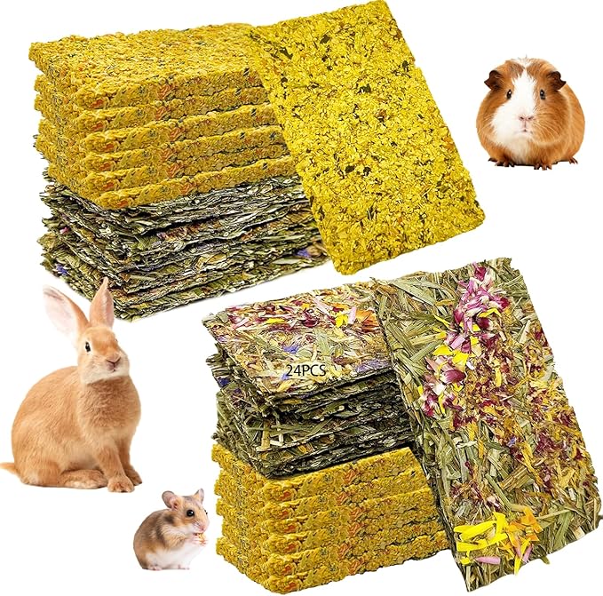 Hamiledyi Rabbit Chew Toys 24 Pieces Guinea Pig Chew Toys for Teeth Natural Grinding Teeth for Chinchilla Bunny Hamster Gerbil Rat Small Animals