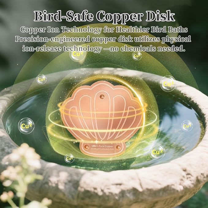 Bird Bath Copper Disk 2 Pack, 99.9% Pure Copper with 3-Point Support Design Enhances Water Purity, Less Cleaning Frequency for Outdoor Bird Baths & Bowls, Safe for Birds Whole Year