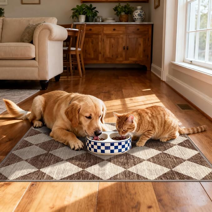 Front Door Rug - 2x3 Brown Beige Non-Slip Washable Doormat Indoor Outdoor Mat