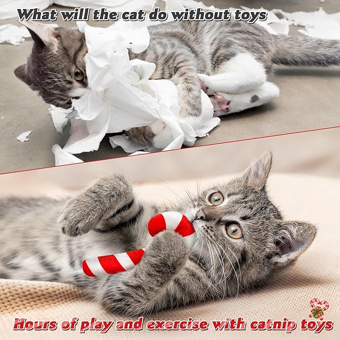 MALLMALL6 6Pcs Christmas Candy Cane Catnip Toys Gift for Cat, Indoor Cat Chew Bite Kick Catmint Pet Toys Supplies for Cat Lover Xmas Gifts, Cute Interactive Cat Toy for Pet Presents