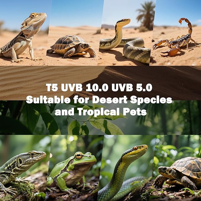 T5 10.0 UVB Reptile Light Fixture, T5 UVA UVB Light Tube Lamp Blub 8W 12" for Bearded Dragon, Tortoise,Desert Lizards,Leopard Gecko,Reptile & Amphibian Lamp