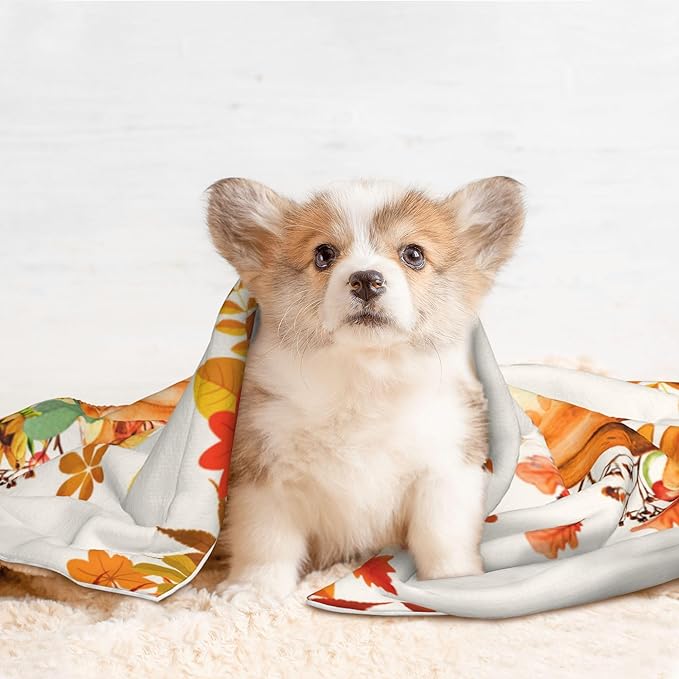 Pumpkins Blanket for Dog Cat - Orange Fall Throw Blanket 30x20 Autumn Pet Blanket for Couch Sofa Bed
