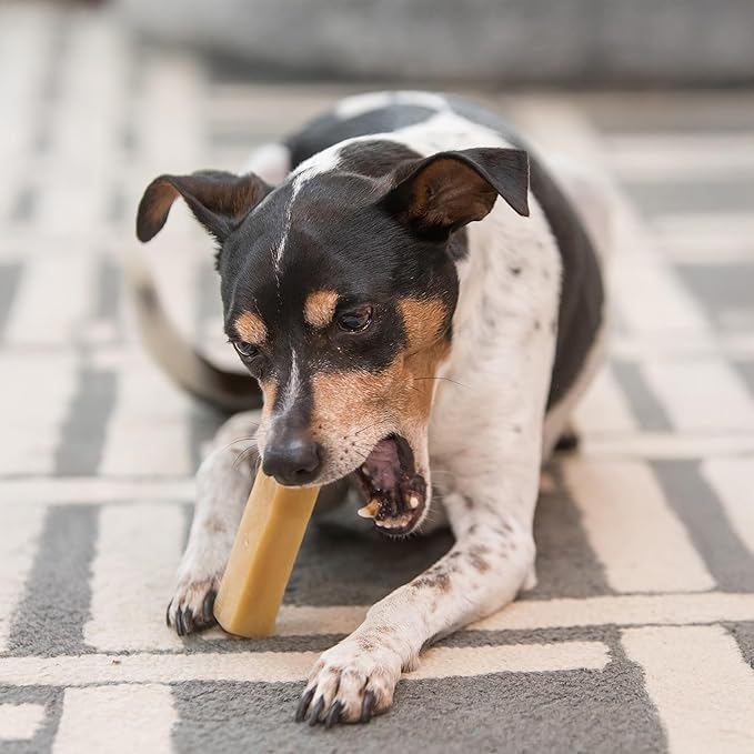 KATHMANDU'S - Authentic Himalayan Cheese Dog Chews - Large, 1-Count - for Improved Dental Hygiene & Protein-Rich Nutrition, No Preservatives