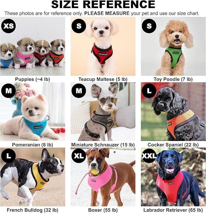 Puppia Soft Dog Harness No Choke Over-The-Head Triple Layered Breathable Mesh Adjustable Chest Belt and Quick-Release Buckle, Royal Blue, X-Small