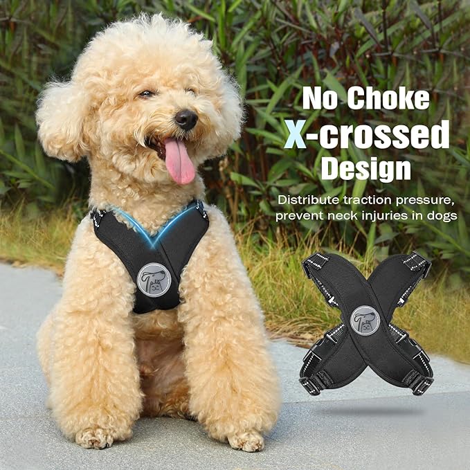 Pawaboo Small Dog Harness and Leash Set, Puppy Harness X-Frame No Pull No Choke, Dog Vest Harness Adjustable for Small Medium Sized Dogs, Soft Breathable Pet Harness for Walking Outing (M, Black)