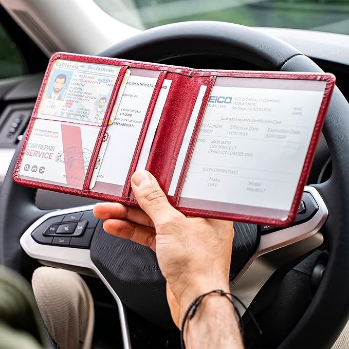 CANOPUS Car Registration and Insurance Holder, PU Leather Card Holder, Vehicle Glove Box Organizer for Auto, SUV, Truck and Motorcycle, Red