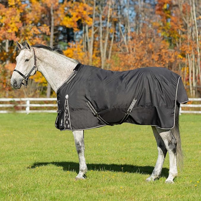 Equinavia Norse Lightweight 100g Fill Horse Rain Blanket | Waterproof Turnout Sheet - Black - 66 in - Black - 66 in