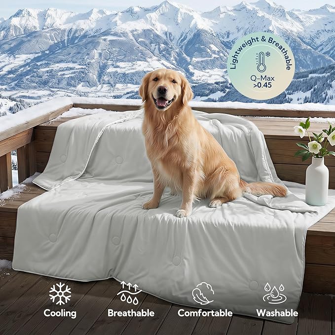 Soulbond Cooling Blanket for Large Dogs - Q-MAX>0.45, Washable Cool Pet Cats Throw Blanket for Hot Weather, Self-Cooling Soft Dog Mat for Bed Crates Couch Sofa Cars(40"x50", Light Grey)