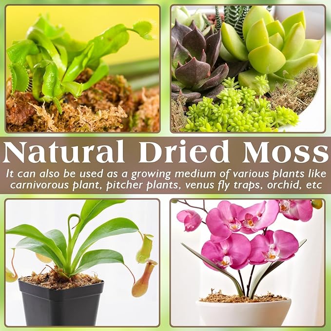 ZeeDix 12OZ Premium Sphagnum Moss for Reptiles, 20QT Dried Moss for Terrarium Long Fibered Leopard Gecko Moss Natural Sphagnum Peat Moss Bedding for Frogs Anoles Snake Turtle Plants
