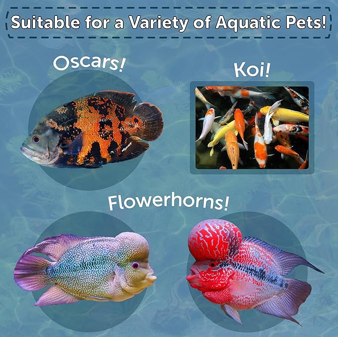 Aquatic Foods Inc. Arctic Krill, Freeze Dried Krill, High in Natural Color Enhancing for Large Cichlids, Tropical Fish, Koi, Turtles, 12-Type Pellet Mix & 4-Type Wafer Mix Included 3.85oz Canister