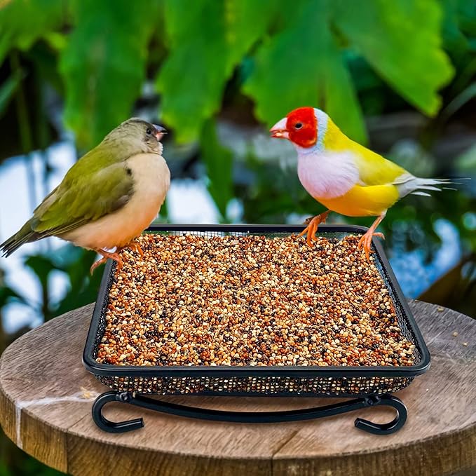 MIXXIDEA Ground Platform Bird Feeder Metal Seed Tray for Outside Garden Wild Bird Feeders with Drainage Holes Great Attracting for Birds and Squirrels, Wonderful Decoration for Backyard – Pack of 2