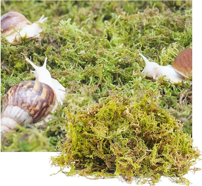 4oz Substrate for Pet Snails, Ideal for Maintain The Humidity Levels in Tank