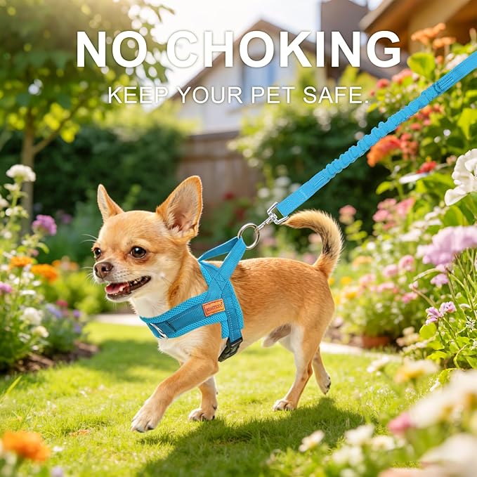 BEAUTYZOO Dog Harness for Small Dogs, No Pull Dog Harness and Leash Set, Soft Escape Proof Puppy Vest Harness with Handle, Reflective Lightweight Step in Harness for Girl Boy Dogs, Blue XS
