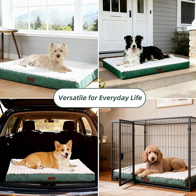 Orthopedic Dog Bed with Firm High-Density Egg Crate Foam,Soft Short Plush Surface Pet Beds,Machine Washable with Removable Cover & Non-Slip Bottom for Medium & Large Breeds (Green, 35"L x 22"W x 3"H)