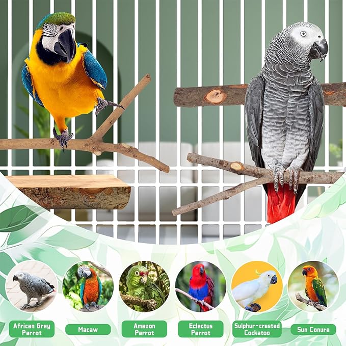 BILLIOTEAM 4-Pack Natural Wood Bird Perch Stand with Spacious Platform, Thick & Long Branches, Large Parrot Cage Accessories for African Grey, Macaws, Conures, Eclectus (Medium & Large Birds)