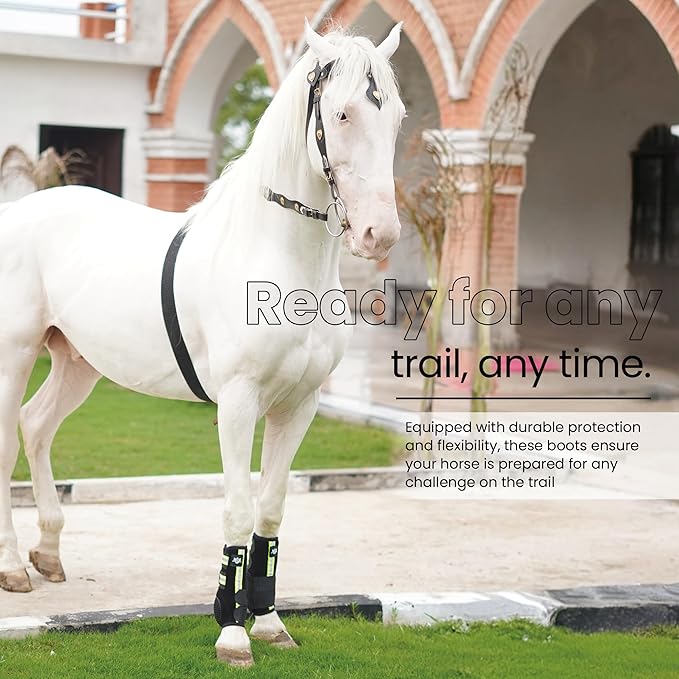 RS Premium Design Gold Line Horse Boots | Comfortable, Protective & Shock Absorber | Sport Boots for Horses Best for Jump Training | Ok Fabric 1682D Provides Ultimate Flexibility (Reflective, Medium)
